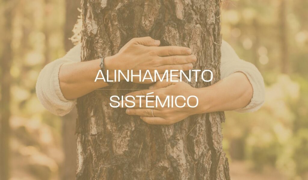alinhamento sistémico